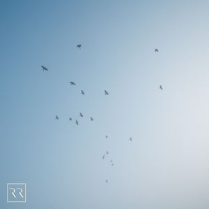 田渊正浩与左野由真主演电影有哪些
