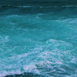 爆乳在线观看网址
