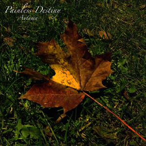 田渊正浩与左野由真主演电影有哪些
