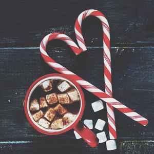 爆乳在线观看网址
