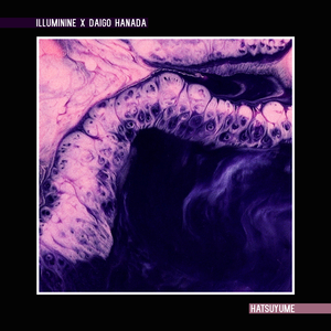 爆乳在线观看网址
